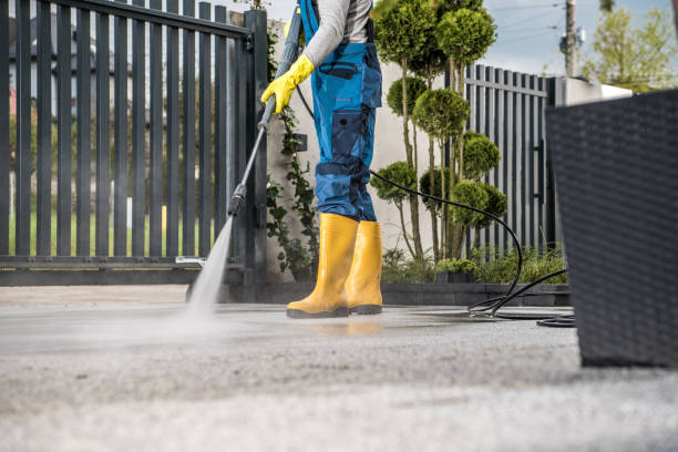 Best Driveway Pressure Washing  in Ridge Manor, FL